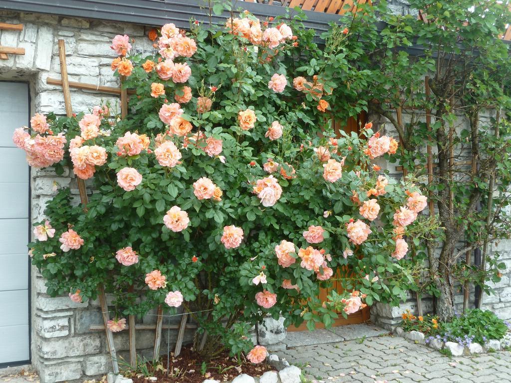 Gaestehaus Sonnenhang Daire Mondsee Dış mekan fotoğraf